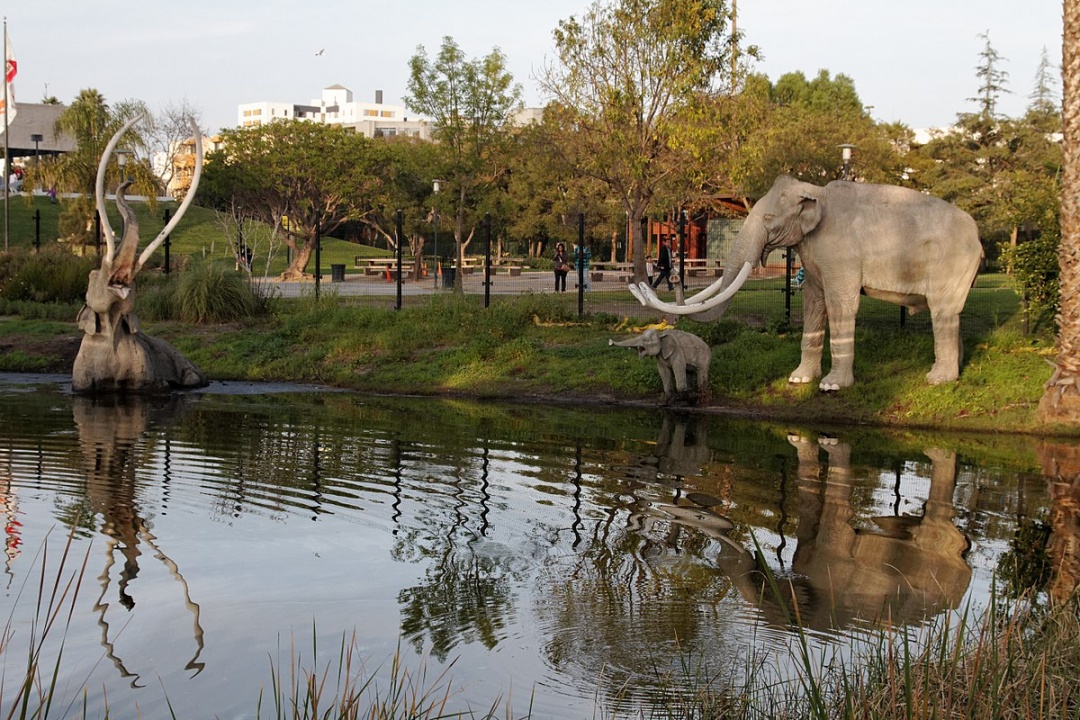 Px Mammoth Tragedy At La Brea Tar Pits Industrial Outpost The Official News