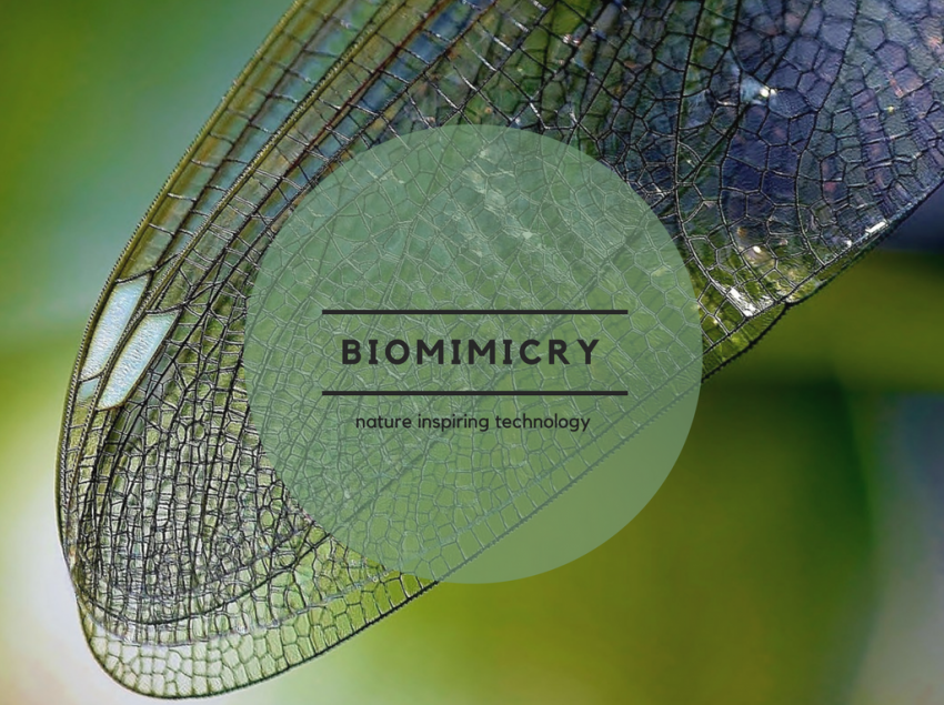 Biomimicry - Industrial Outpost - The Official News Source Of PSC