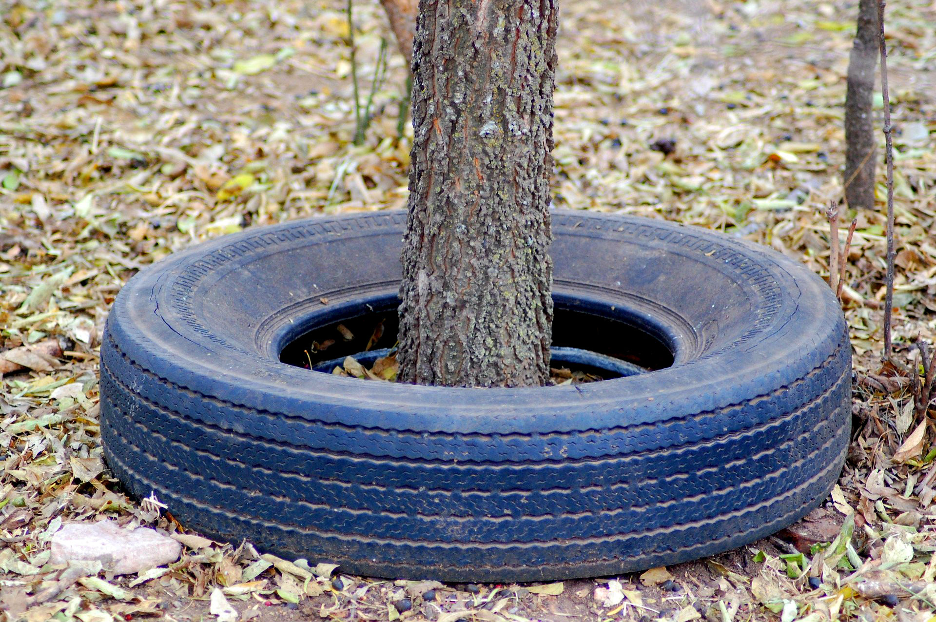 Is Natural Rubber Better Than Synthetic Rubber? Here's What We